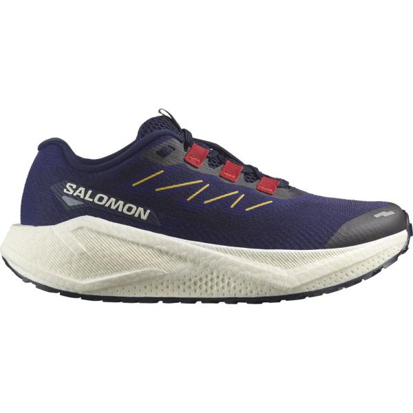 サロモン AERO BLAZE 3 GRVL W L47915900 レディース シューズ