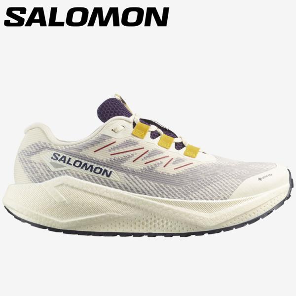 サロモン AERO BLAZE 3 GRVL GTX L47953200 メンズ シューズ