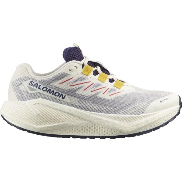 サロモン AERO BLAZE 3 GRVL GTX W L47974100 レディース シューズ