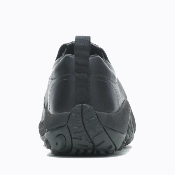 ezone_m17199_3_d_20240402162021