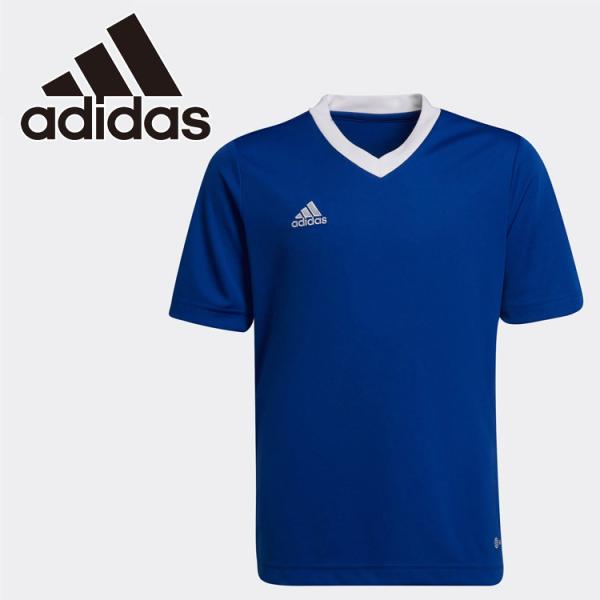 AfB_X KIDS ENTRADA22 W[W[ MBE20-HG3948 WjA [֑