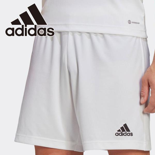 AfB_X ENTRADA22 V[c TG216-HG6295 Y fB[X [֑