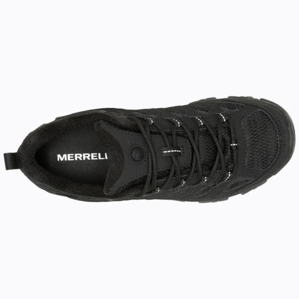 ezone_w500426_4_d_20260303181902