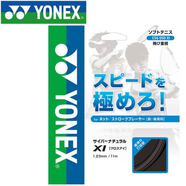 lbNX ejX  TCo[i`NXAC XgO Kbg CSG650XI-007 [֑