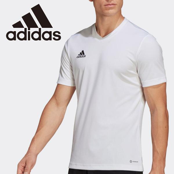 AfB_X ENTRADA22 W[W[ ZG486-HC5071 Y fB[X [֑