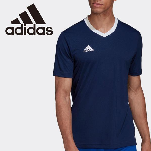 AfB_X ENTRADA22 W[W[ ZG486-HE1575 Y fB[X [֑