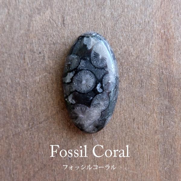 フォッシルコーラル ブラック（化石珊瑚）約28×16×6mm オーバル型