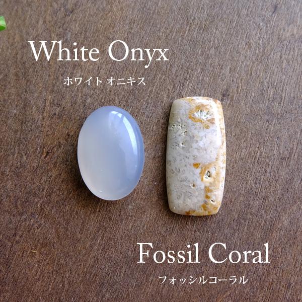 フォッシルコーラル（化石珊瑚）約22×11×4mm ・ホワイトオニキス