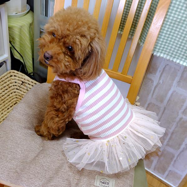 @tĕ@s[X@ybgpʕ@m@^pilTCYj