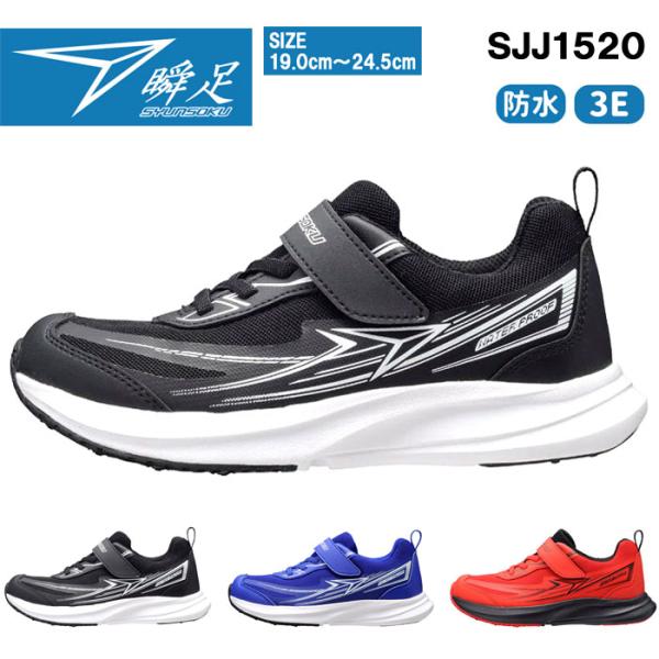 f-club_syunsoku-sjj1520b