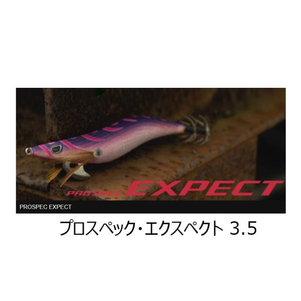プロスペック　カンジインターナショナル　CRONO3.5号エクスペクト カンジインターナショナル クロノ (CRONO) カンジ プロスペック