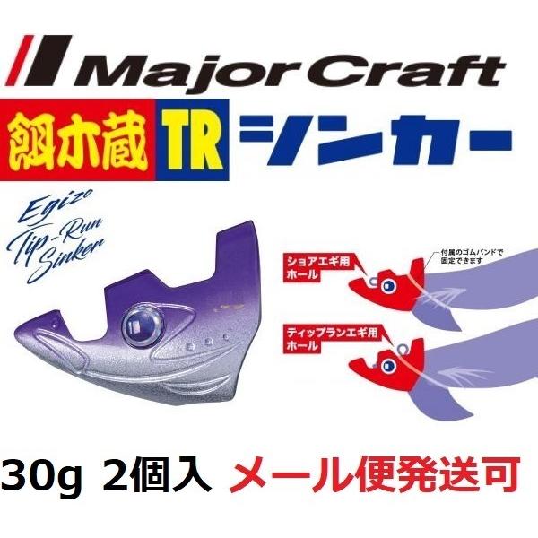 餌木蔵 TRシンカー 30g パープルシルバー