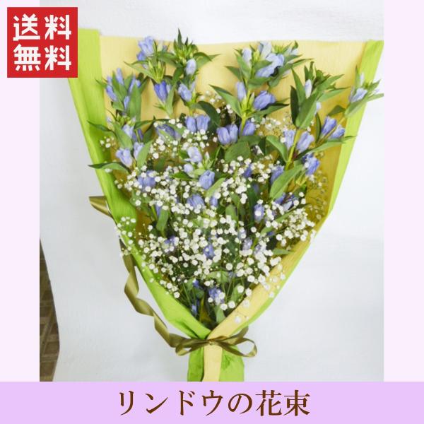 ~ ފ݉ԑuǂ̉ԑiP΁jv  ~ ~ ֓~ ֐~  䋟  @ @v