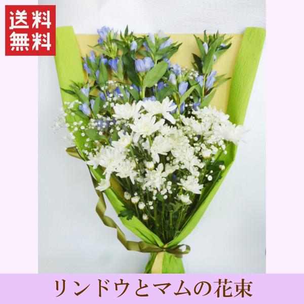 ~ ފ݉ԑuǂƋẻԑiP΁jv  ~ ~ ֓~ ֐~  䋟  @ @v