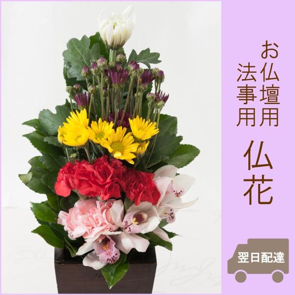 @pԁuԁi1j v    ~ V~