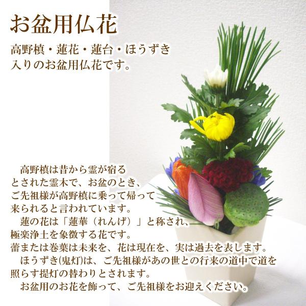 お盆用仏花 高野槙入り仏花 1つ お盆 初盆 関東盆 関西盆 お悔やみ 御供 命日 法事 法要 お供え花 Buyee Buyee Japanese Proxy Service Buy From Japan Bot Online