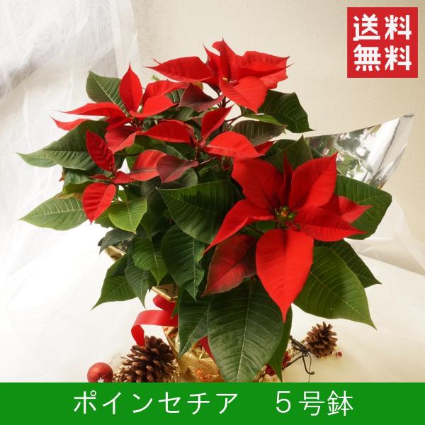 Ԕu|CZ`A Tv NX}X  v[g Mtg Ε a j  A