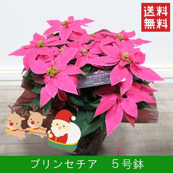 ԔuvZ`A Tv NX}X  v[g Mtg Ε a j  A