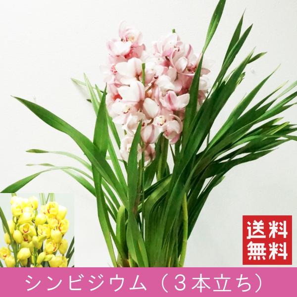 uVrWE R{v a  v[g Mtg j JXEJƏj  m Ԕ sN CG[