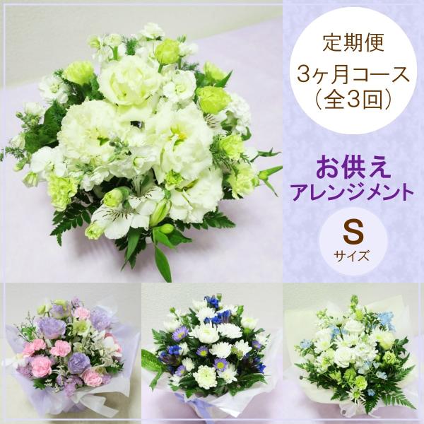  ԁu܂AWgrERR[XiSRjv   @v   ~ w