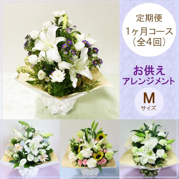  ԁu܂AWglEPR[XiSSjv   @v   ~ w