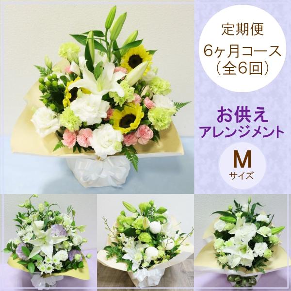  ԁu܂AWglEUR[XiSUjv   @v   ~ w