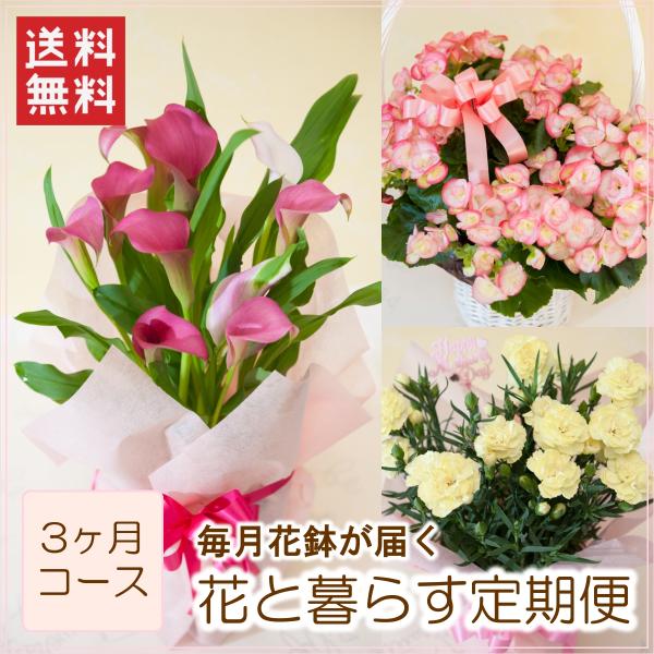 ցuԂƕ炷ցERR[XiSRjv a  v[g Mtg j w t[Mtg {  Ԕ ͂