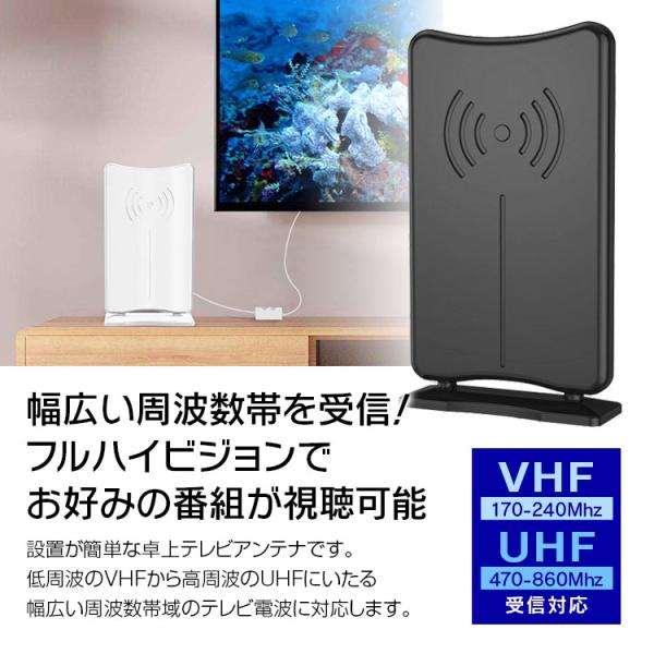 f-innovation_dan33_1_d_20260121103053