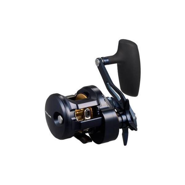 DAIWA（釣り） ダイワ 25ソルティガ 300L : フィッシング