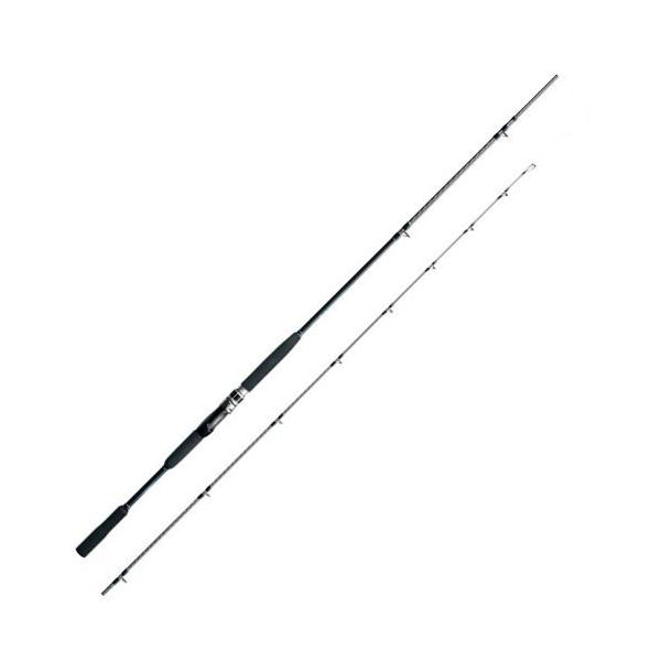 シマノ（SHIMANO） 20シーマイティ X TYPE64 50-270 : フィッシング