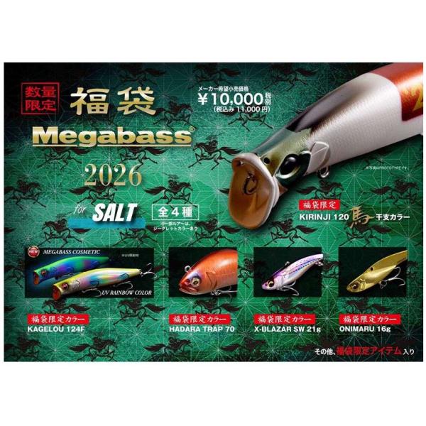Megabass（メガバス） 2026福袋ソルトセット ＊カラーはお選びいただけ