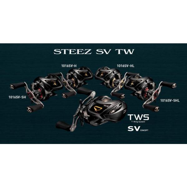 DAIWA（釣り） DAIWA スティーズ SV TW 1016SV-H 右 ベイト