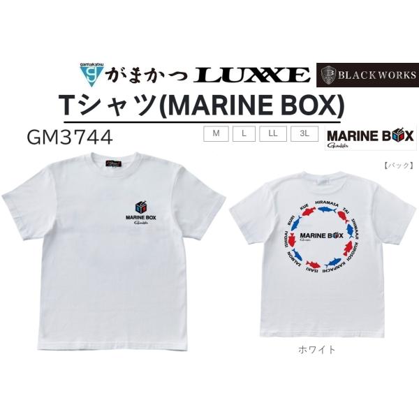 f-marin_4549018749809 f-marin_4549018749809