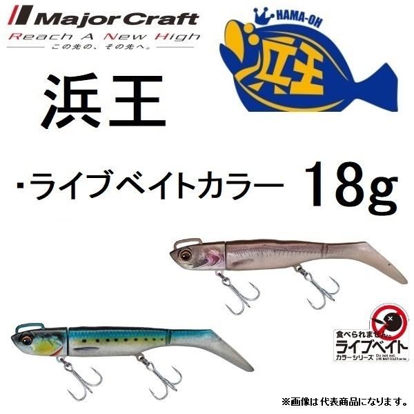 W[Ntg lZbg BEACHKING 18g HMO-SET CuxCgJ[ \tgA[ tbgQ[ ([֑Ή)