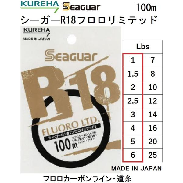 フロロカーボンフィッシングライン100m 0.8号 1個 釣糸 道糸