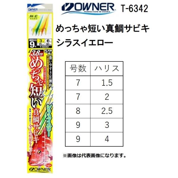 I[i[/OWNER ߂Z^TrL VXCG[ T-6342 No.36342 5{j ^pDTrLd| }_C ([֑Ή)