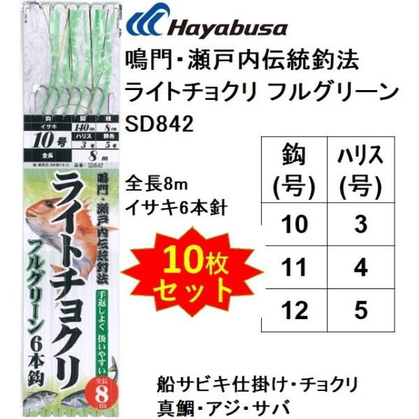 (10Zbg)nuT/Hayabusa E˓`ޖ@ Cg`N tO[ SD842 8m 10-3,11-4,12-5 CTL6{j ^EAWETopDTrLd|