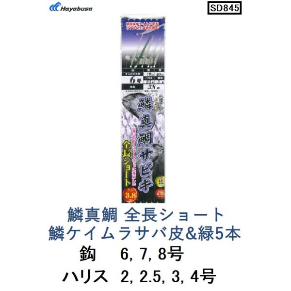 nuT  o^ ؐ^ SV[g ؃PCTo&amp;5{ SD845 6, 7, 8 tJ[{ ^pDTrL Hayabusa([֑Ή)