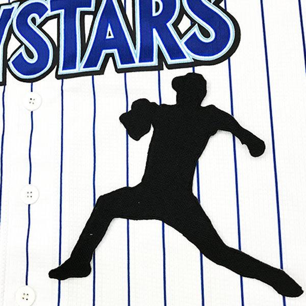 ☆送料無料☆横浜 DeNA ベイスターズ 田中健二朗 シルエット 応援 刺繍