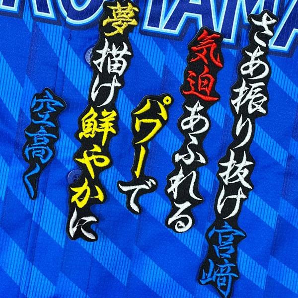 ☆送料無料☆横浜 DeNA ベイスターズ 宮崎敏郎 応援歌 黒 応援 刺繍