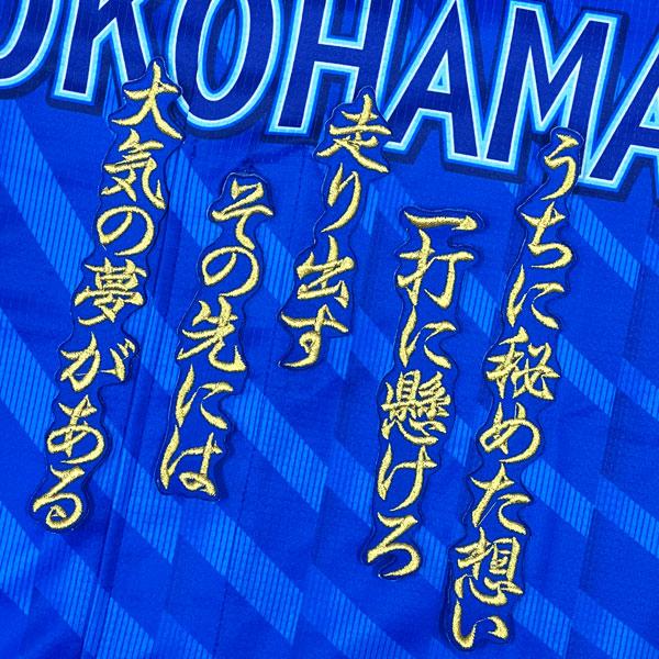 ☆送料無料☆横浜 DeNA ベイスターズ 関根大気 応援歌 青 応援 刺繍 