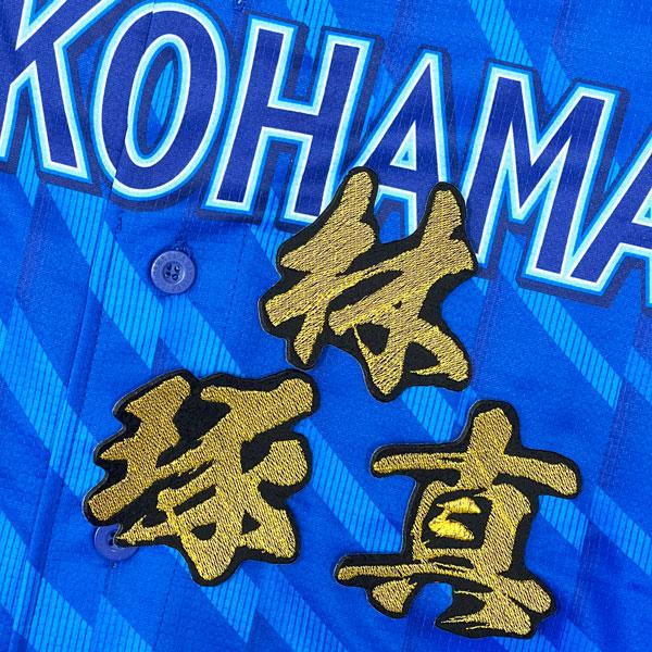 ☆送料無料☆横浜 DeNA ベイスターズ 林琢真 毛筆 名前 応援 刺繍