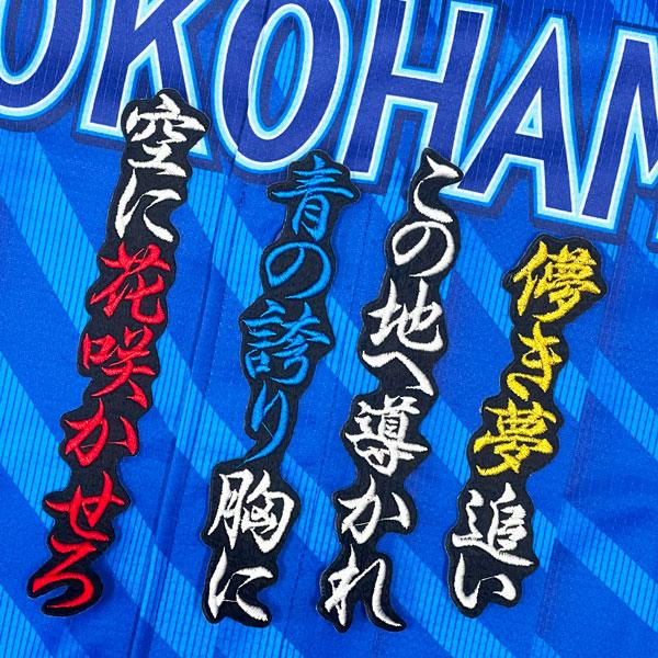 ☆送料無料☆横浜 DeNA ベイスターズ ビシエド 応援歌 黒 応援 刺繍