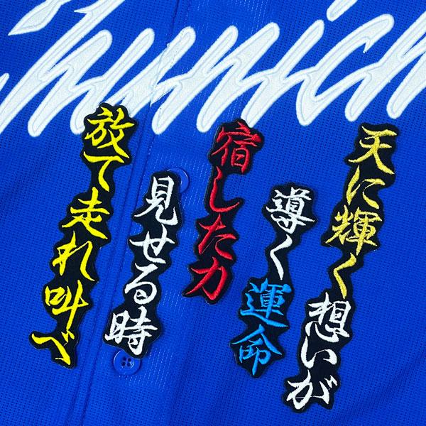 ☆送料無料☆中日 ドラゴンズ ブライト健太 応援歌 黒布 応援 刺繍