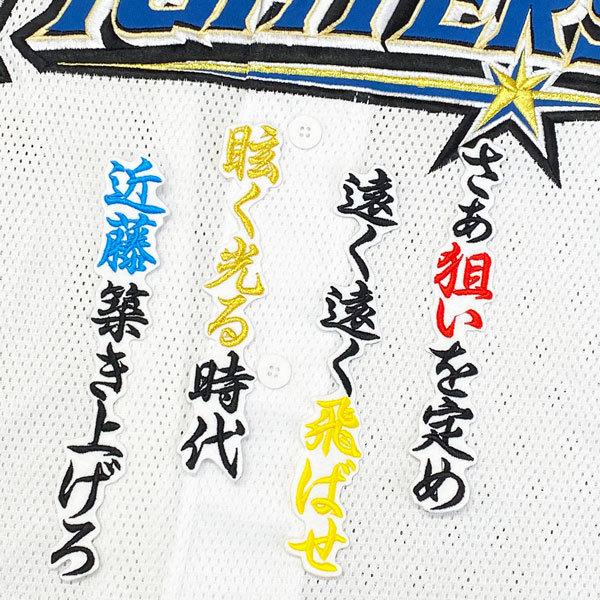 ☆送料無料☆北海道 日本ハム ファイターズ 日ハム 近藤健介 応援歌