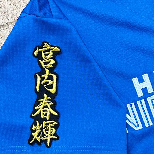 ★送料無料★北海道 日本ハム ファイターズ 日ハム 宮内春輝 ネーム 2 黒 刺繍 ワッペン 応援 ユニフォーム