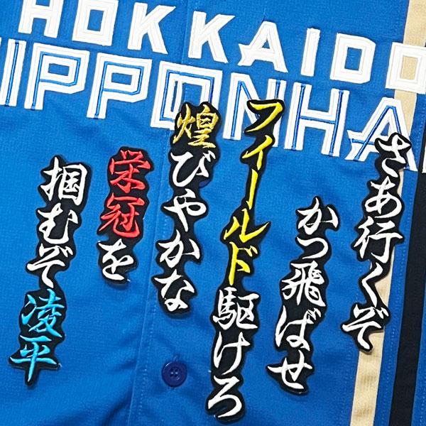 ★送料無料★北海道 日本ハム ファイターズ 日ハム 細川凌平 応援歌 黒 刺繍 ワッペン 応援 ユニフォーム