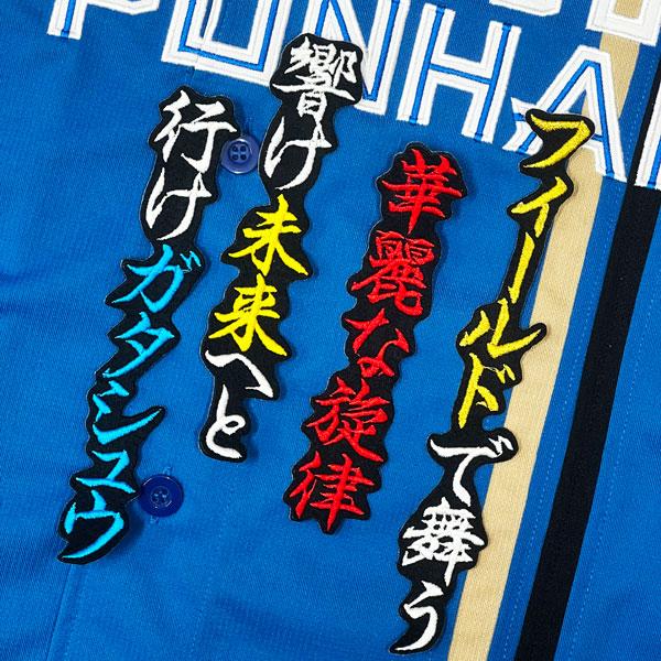 ☆送料無料☆北海道 日本ハム ファイターズ 日ハム 山縣秀 応援歌 黒