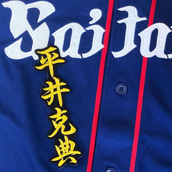 ☆送料無料☆埼玉 西武 ライオンズ 平井克典 ネーム 2 黒布 応援 刺繍 