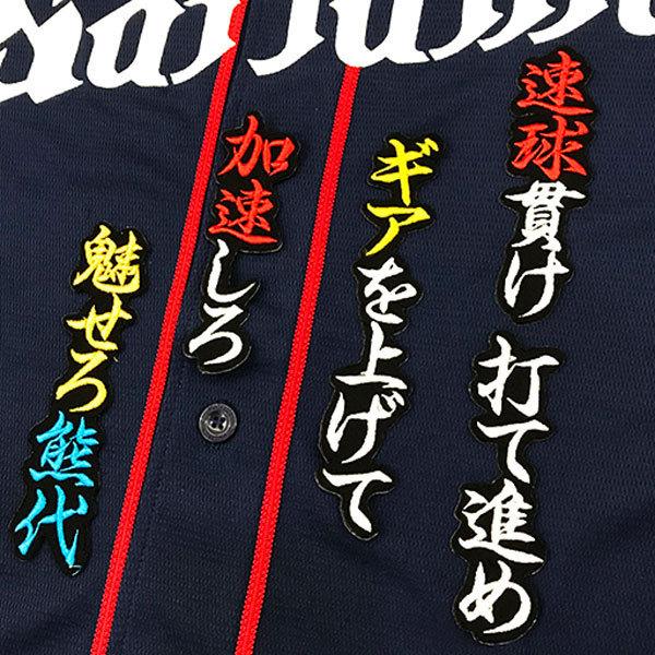 ☆送料無料☆埼玉 西武 ライオンズ 熊代聖人 応援歌 黒布 刺繍